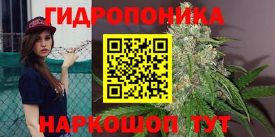 гашиш Тара