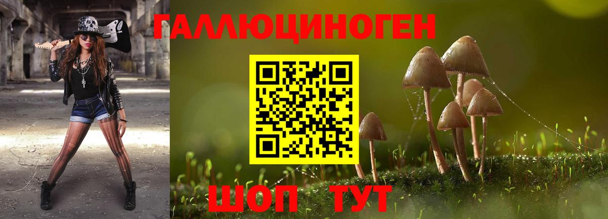 Лосино-Петровский  Галлюциногенные грибы Magic Shrooms  Вход с VPN 